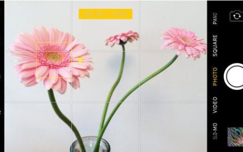 如何使用iPhone AE/AF锁实现完美对焦和曝光