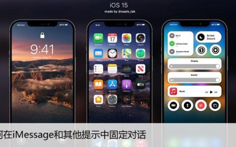 如何在iMessage和其他提示中固定对话