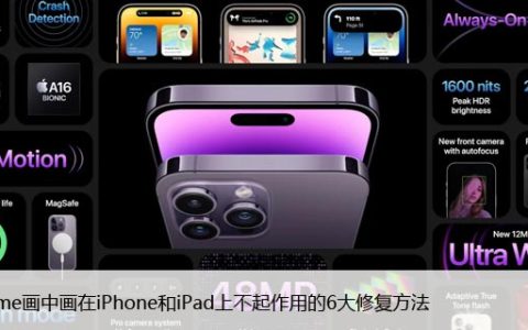 Facetime画中画在iPhone和iPad上不起作用的6大修复方法