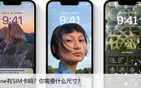 iPhone有SIM卡吗？你需要什么尺寸？