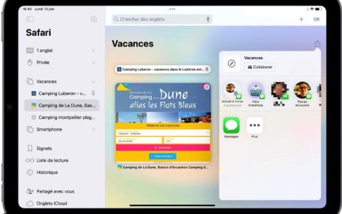 Safari在iPhone/iPad上闪退？修复Safari无法打开的方法