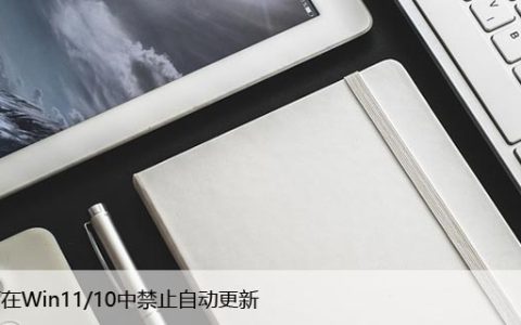 Windows 11/10如何关闭自动更新服务