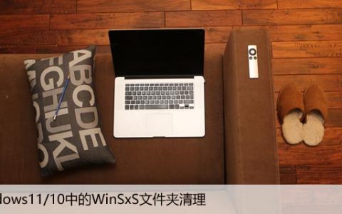 如何清理Win11/10中占用大量空间的WinSxS文件夹？