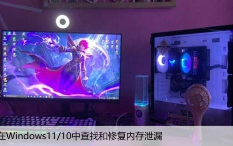 如何在Windows11/10中查找和修复内存泄漏