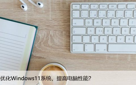 如何优化Windows11系统，提高电脑性能？