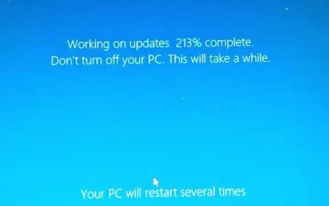 如何解决Windows11/10升级更新卡顿的问题？