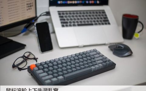 鼠标滚轮上下失灵乱窜，如何修复鼠标滚轮上下跳动