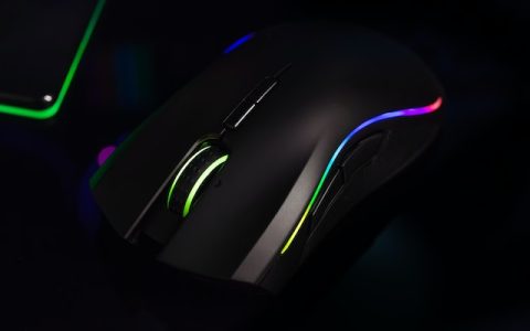 修复Win11中鼠标光标自己移动处理的8种方法