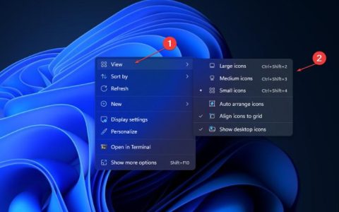 更改Windows11桌面图标大小的3种方法
