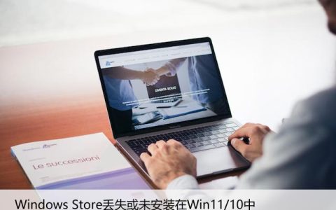 修复：Windows Store丢失或未安装在Win11/10中