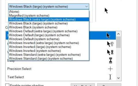 在Windows10中更改鼠标指针颜色和大小的5种方法