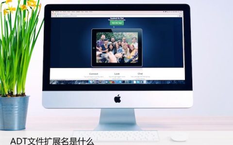 ADT文件扩展名是什么（.ADT文件如何打开）