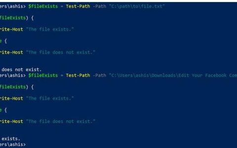如何使用PowerShell判断文件是否存在