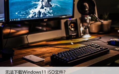 无法下载Windows11 ISO文件？为什么以及如何修复？