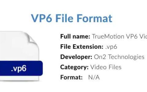 什么是VP6文件格式，如何打开它？
