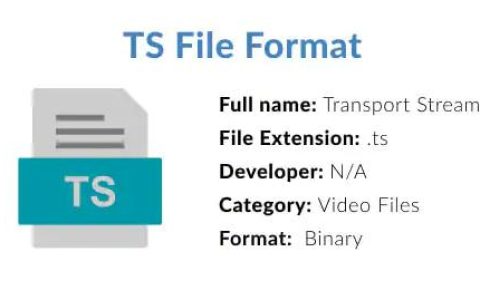 什么是TS文件格式，如何播放TS格式视频
