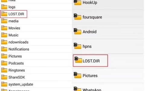 什么是LOST.DIR文件？它和其他文件的区别