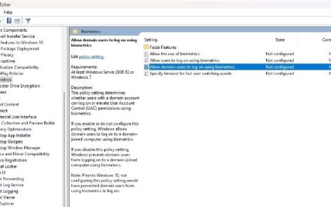 如何开启或关闭域用户使用生物识别技术？Win11系统教程