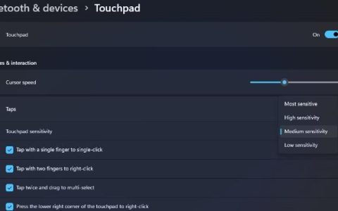 如何更改Windows11笔记本电脑上的触摸板灵敏度