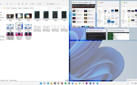 您可能不会使用（但应该）的7个Windows11功能