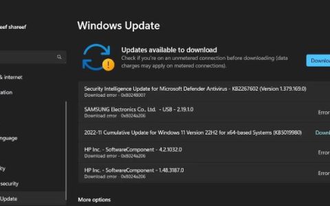 如何降低Windows11电脑的温度和功耗？