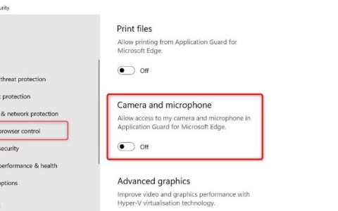 如何在Windows11的Edge防护中启用摄像头和麦克风