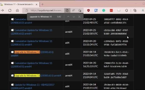 如何使用ISO下载并安装Windows11 ARM