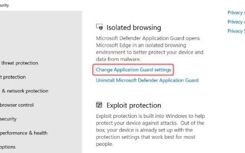 如何在Windows11中的Application Guard for Edge中启用高级图形