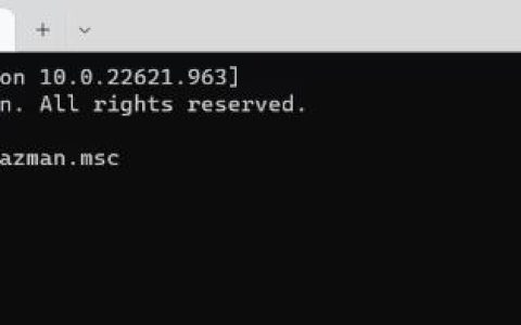 如何在Windows11中打开授权管理器