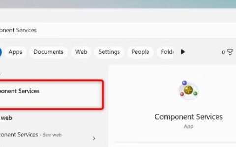 如何在Windows11中打开组件服务，速访启动步骤