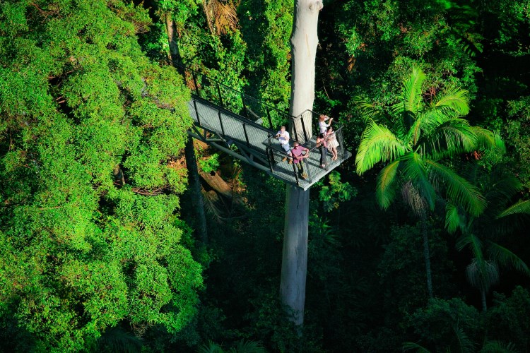 10 Terrifying Skywalks around the World-多听号