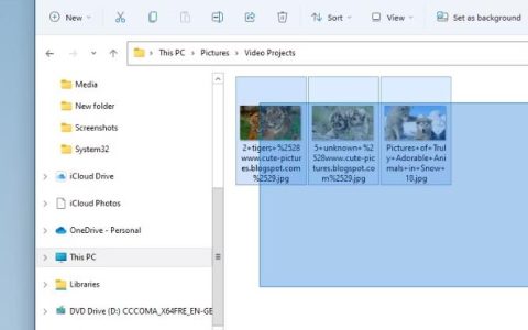 如何在Win11中选择多个文件，Win11文件管理使用教程