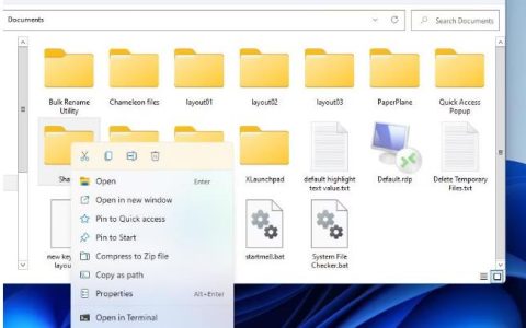 如何在Windows11中检查文件夹的存储使用情况