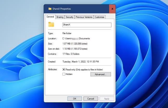 如何在Windows11中检查文件夹的存储使用情况