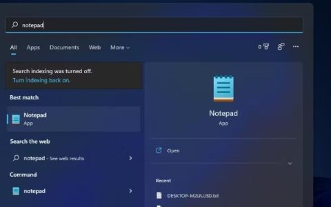 如何在Windows11中快速打开记事本？9种方法