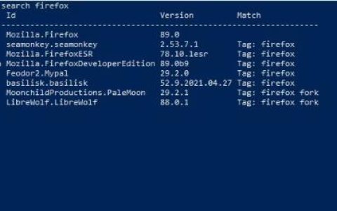 如何下载、安装和使用Windows包管理器(Winget)
