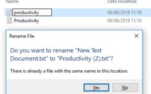 如何在Windows上启用区分大小写的文件名