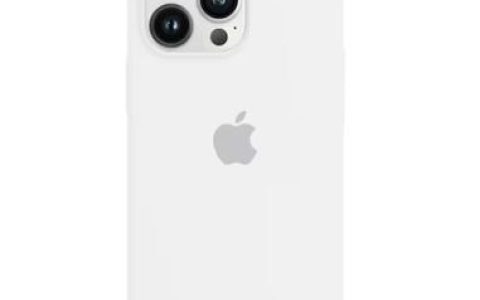 如何在iPhone上管理历史记录和浏览数据