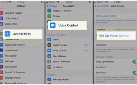 如何在iPhone和iPod Touch上使用语音控制