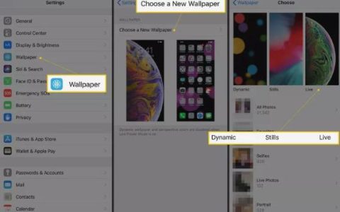 如何在iPhone上使用动态壁纸，苹果设置方法