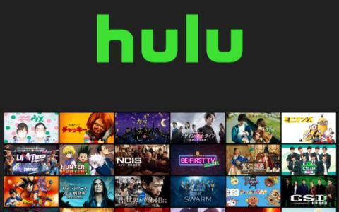 Hulu错误代码：它们是什么以及如何修复它们