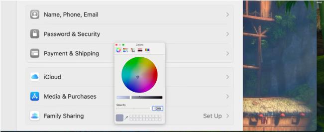 如何在苹果Mac上使用预览来审查屏幕截图