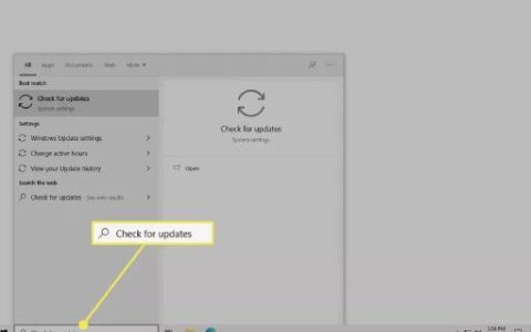 如何修复Windows10上鼠标光标消失的问题