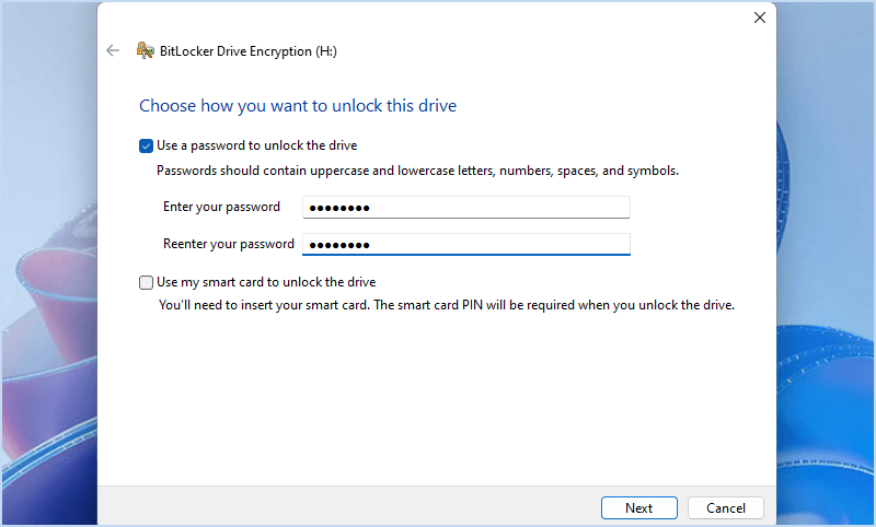 在 BitLocker 中输入密码