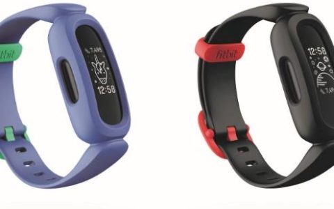如何在iPad上恢复Fitbit应用程序的正常运行