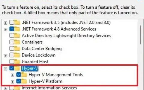 如何在Windows11上启用Hyper-V，几个方法