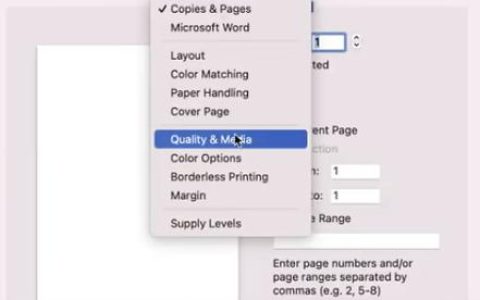如何用Mac上的打印机设置灰度打印