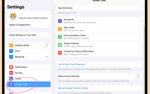 如何限制iPad上的屏幕使用时间
