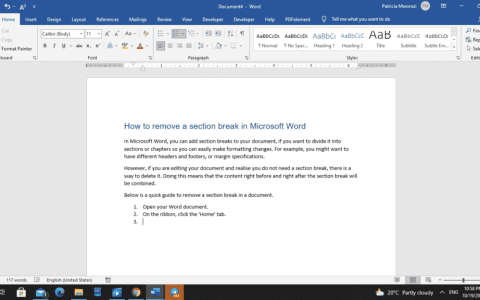 如何删除Microsoft Word中的分节符