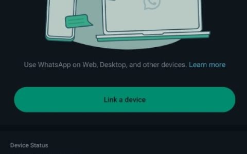 如何修复WhatsApp Web在Mac上的Safari中无法运行的问题？